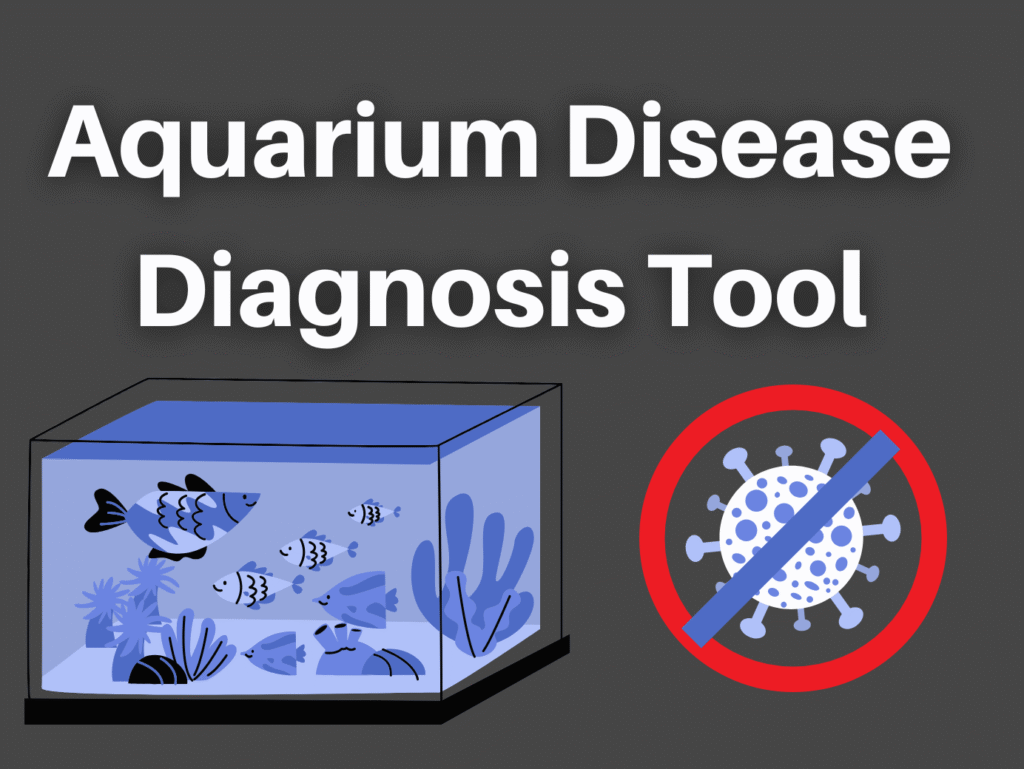 Aquarium Disease Diagnosis Tool