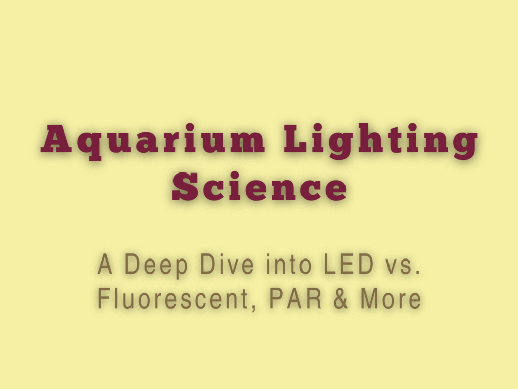 A Deep Dive into LED vs. Fluorescent, PAR & More