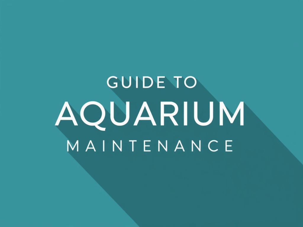 Guide to Aquarium Maintenance