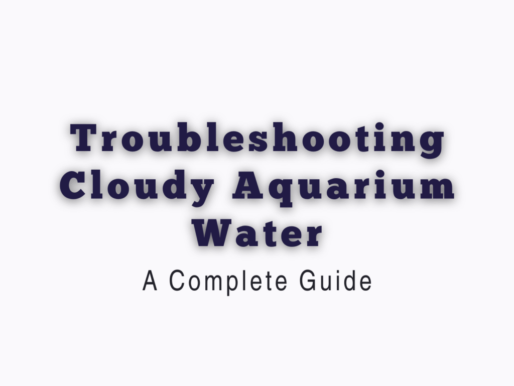 Troubleshooting Cloudy Aquarium Water