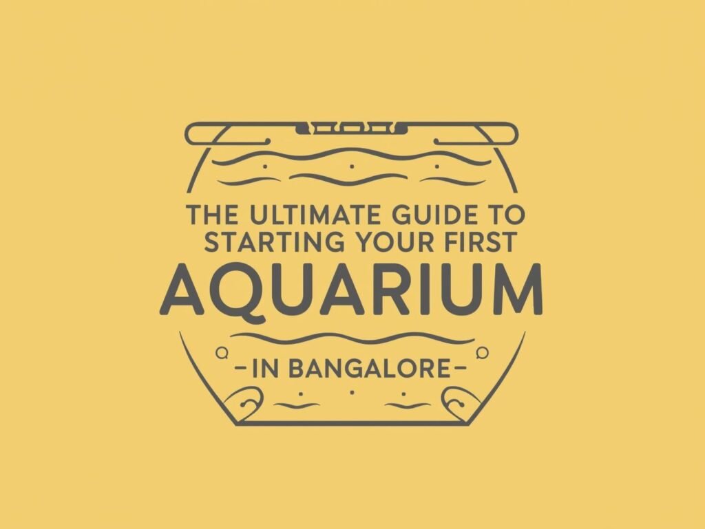The Ultimate Guide to Starting Your First Aquarium in Bangalore